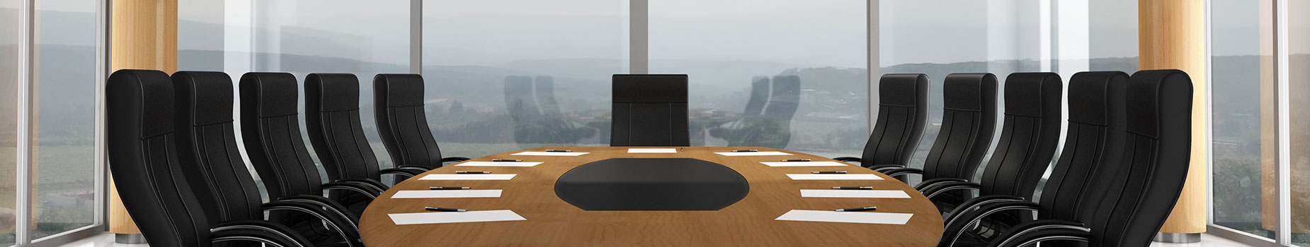 Board of Directors Banner