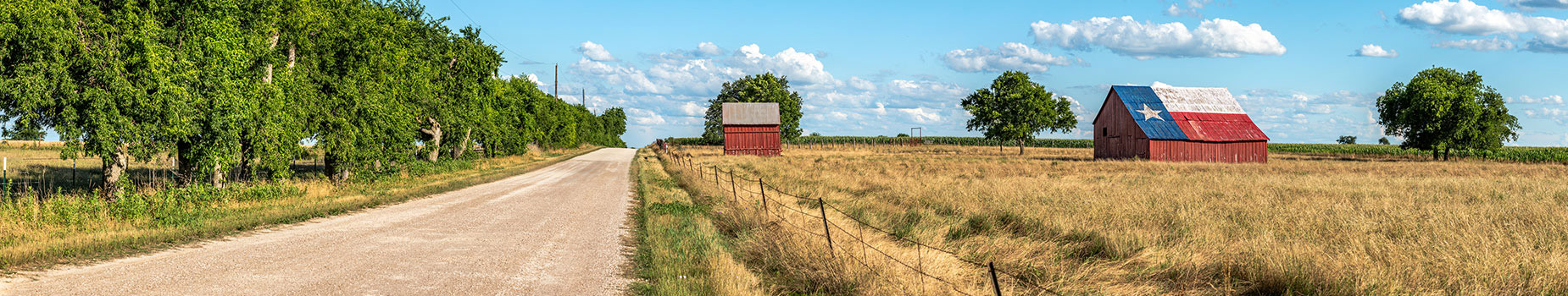 The International MINT