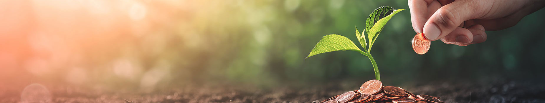 Personal CDs and IRAs Banner